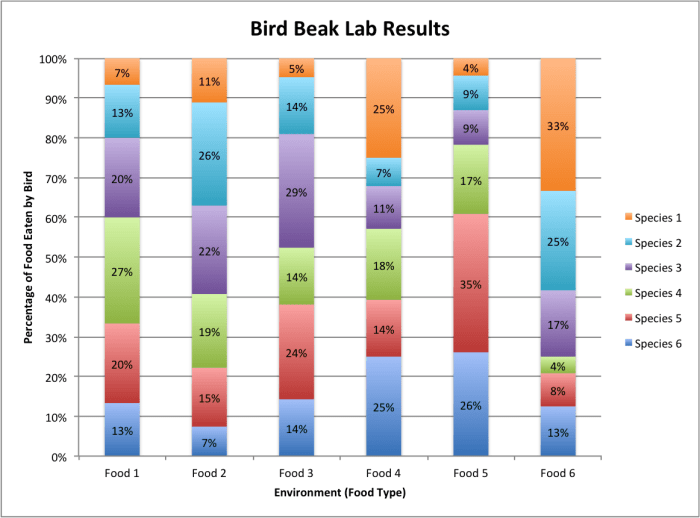 Battle of the beaks lab