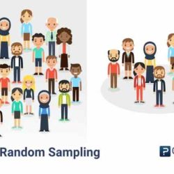 A simple random sample of size n is drawn