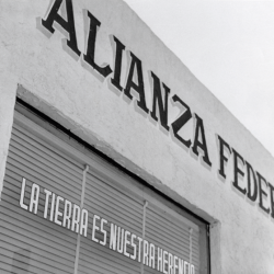 La alianza federal de mercedes