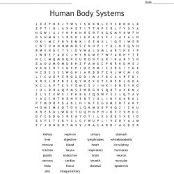 Human body systems crossword puzzle answers