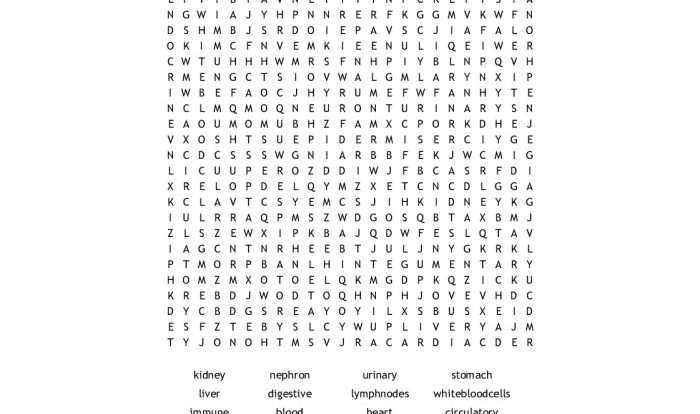 Human body systems crossword puzzle answers