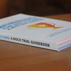 Winning objections a mock trial guidebook