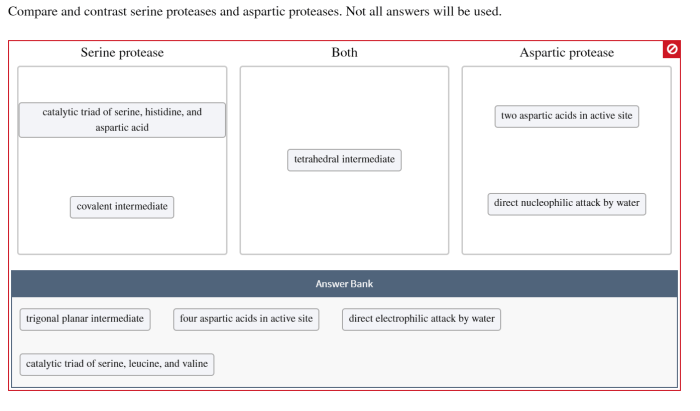 Compare and contrast serine proteases and aspartic proteases.