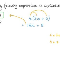 Equivalent which expressions apply below check