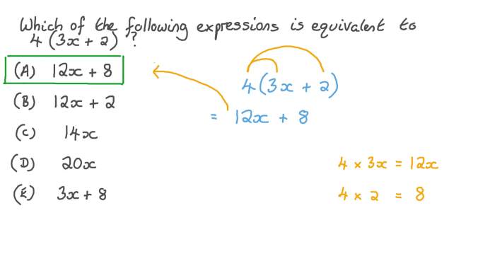 Equivalent which expressions apply below check